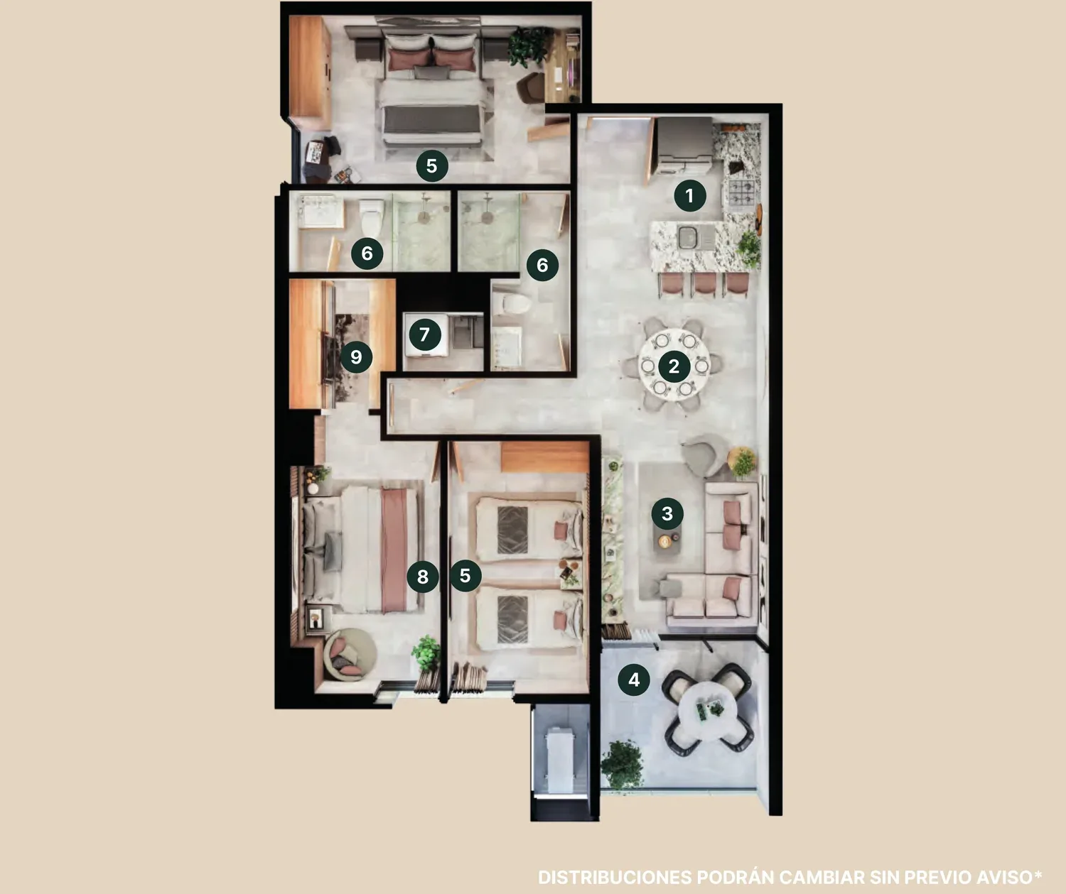 t2-C.webp