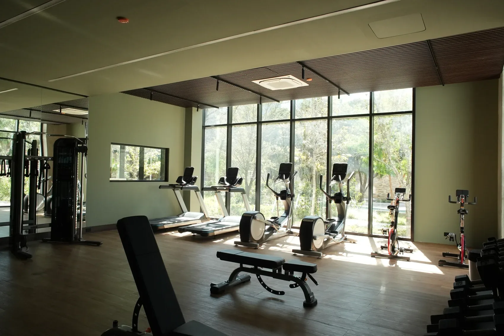 gimnasio-real.webp