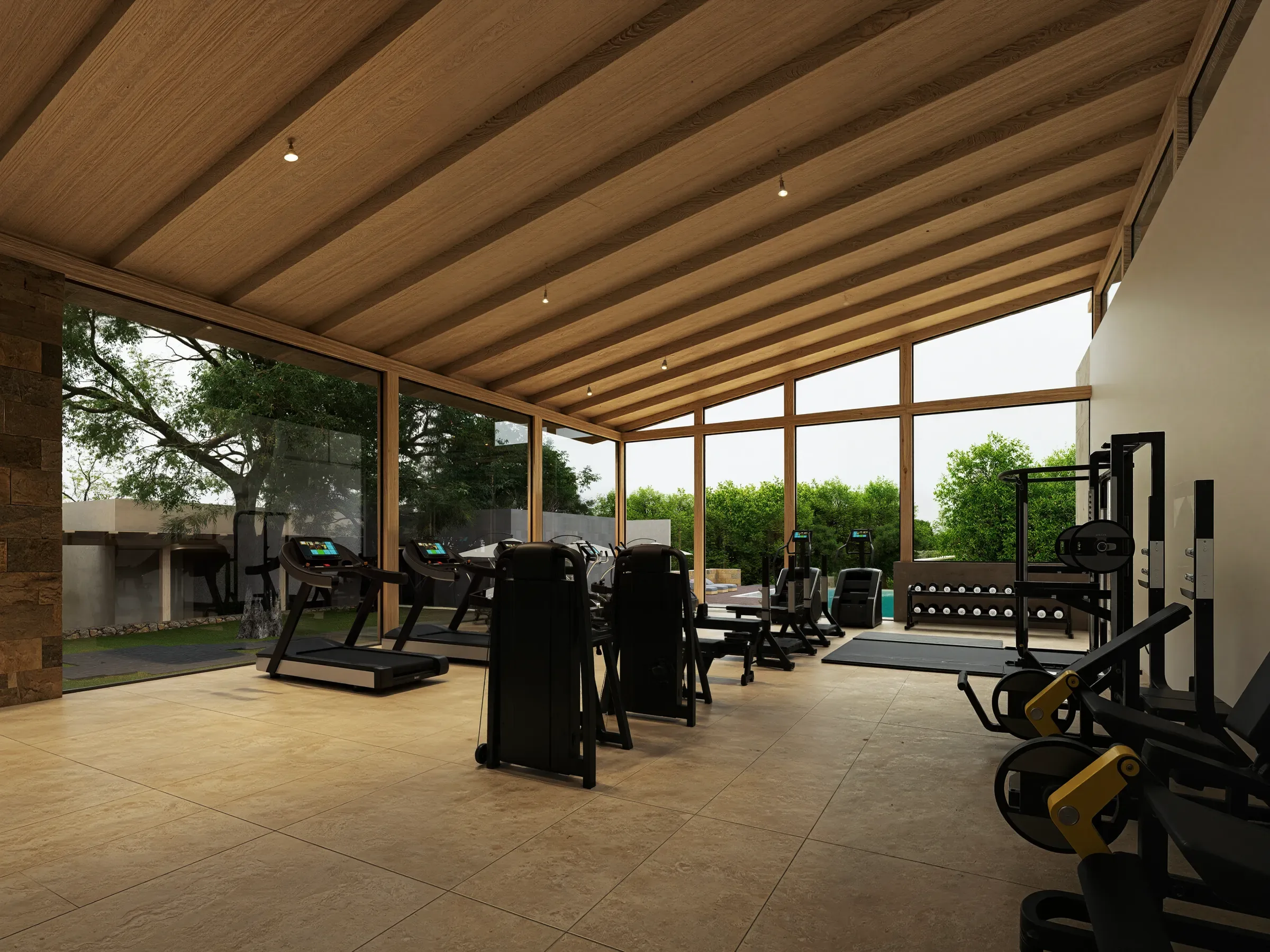 Gimnasio de Cañadas